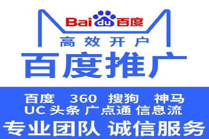 某电商平台的SEM推广策略及效果分析