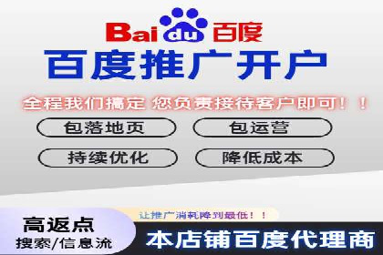 成功案例：一家初创企业如何通过百度关键词推广快速崛起